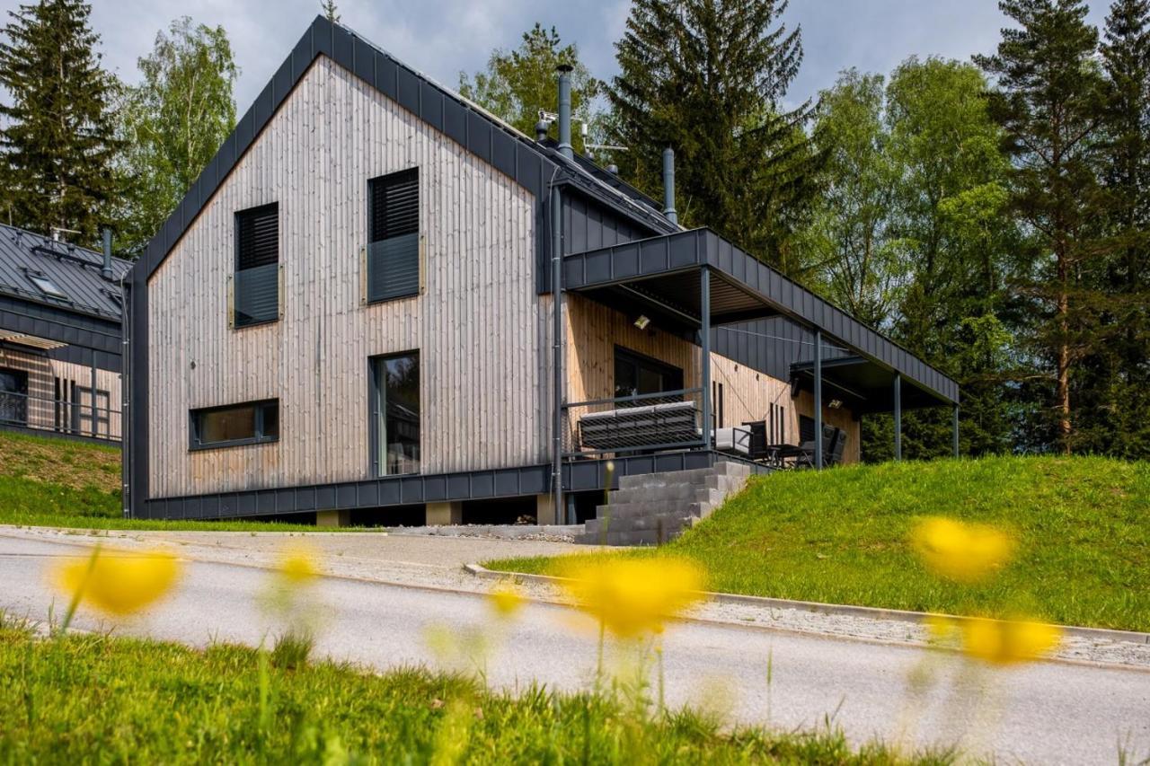 Holiday House U Hajenky 11P Lipno Home Lipno nad Vltavou Buitenkant foto